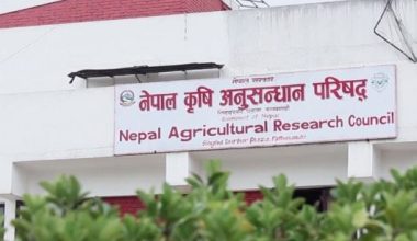 नार्कले विकास गर्‍यो ७२३ जातका बीउ