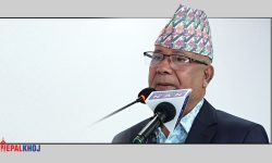 समृद्ध नेपाल निर्माणमा अघि बढ्नुपर्छ : अध्यक्ष नेपाल