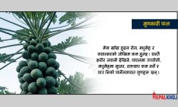 दैनिक मेवाको सेवन, उमेरभन्दा ७ वर्ष जवान