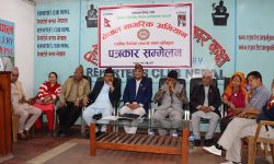 नेपाल नागरिक अभियानको चुनावी प्रतिबद्धता पत्र सार्वजनिक