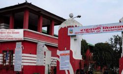 सार्वजनिक बिदाको दिन आइतबार राहदानी विभाग खुल्ने