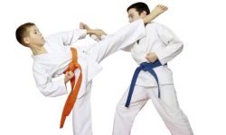 सगरमाथा अन्तर्राष्ट्रिय कराते प्रतियोगिता आजदेखि