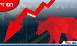 नेप्सेमा चुनावी प्रभाव : १८ अंकले गिरावट, दुई अर्ब ३२ करोडको सेयर किनबेच