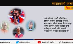महानगर र उपमहानगरमा स्वतन्त्र उम्मेद्‌वारको क्रेज : किन रुचाए जनताले ?