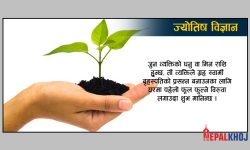 कुन राशिका व्यक्तिले घरमा कस्तो बिरुवा रोप्ने ?