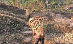 सम्बन्धविच्छेदले बढ्दैछ ‘बालश्रम’