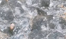 हिंसाको पराकाष्ठा : दार्चुलामा एक महिलाको आगो लगाएर हत्या