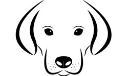 सूचना आयोगमा अख्तियारविरुद्ध पुनरावेदन दिने विवेकशील पार्टीको चेतावनी