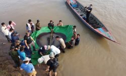 कम्बोडियाको नदीमा भेटियाे ‘विश्वकै  ठूलो माछा’ !