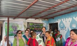 नेपाल उद्योग परिसंघले दियाे महिला किसानलाई अर्गानिक कम्पोष्ट मल