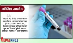 थपिए ४१ संक्रमित, कोरोना संक्रमण मुक्त हुनेदर ९८ दशमलव ८ प्रतिशत !