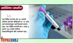 १६ जनामा कोरोना, १४ जना डिस्चार्ज