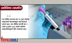 ३१ जनामा कोरोना, १४२ जना सक्रिय संक्रमित