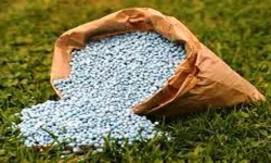 साल्ट ट्रेडिङले बाँड्ने भयो मल, कृषक खुसी !