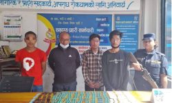 चिकित्सकको अनुमति बिना औषधि बेचबिखन गर्ने  चार जना पक्राउ