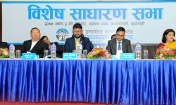 एभरेष्ट इन्स्योरेन्सको विशेष साधारणसभाका यस्तो भयो निर्णय !