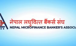 ब्याजदर बढाउन नेपाल लघुवित्त बैंकर्स संघकाे सुझाव