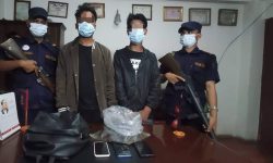 जीवित कछुवाको बच्चासहित दुईजना पक्राउ