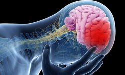 मस्तिष्काघात उपचार : नेपाली विशेषज्ञको  उपलब्धिलाई भारतीयले उच्च प्रशंसा गरे