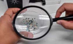 एन्टार्कटिका हिमालमा माइक्रोप्लास्टिक भेटियाे, वैज्ञानिक चिन्तित