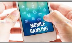 नेपालमा मोबाइल बैंकिङ प्रयोगकर्ताको संख्या बढ्दो