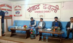 ‘बजेट कार्यान्वयन भए नेपाली अर्थतन्त्रलाई आत्मनिर्भर बनाउँछ’