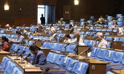 प्रतिनिधिसभाको अर्को बैठक २९ गते