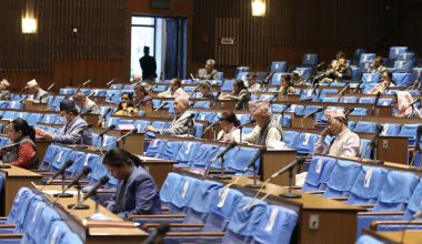 प्रतिनिधिसभाको अर्को बैठक २९ गते