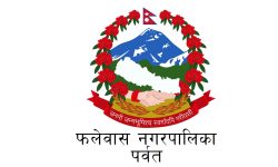 फलेवासको नगरसभा हुन सकेन