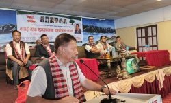 कांग्रेसले राष्ट्रको अहित हुने कुनै सम्झौता गर्दैन : सिंह