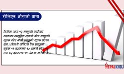 १८ अंकले नेप्से घट्दा १ अर्ब १६ करोडको कारोबार