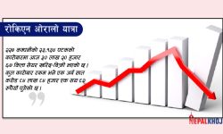 नेप्सेमा ७ अंकको गिरावट, कारोबार रकम १ अर्ब सात करोडमै सीमित