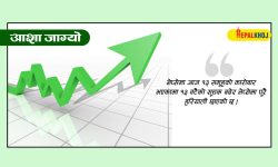 नेप्सेमा करेक्सन, ४१ अंकले बढ्दा १ अर्ब ४३ करोडको कारोबार