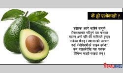 गर्भवतीदेखि डिप्रेसनका लक्षण भएकालाई उपयोगी !