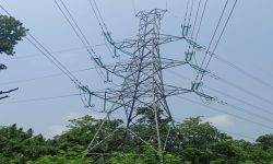 राष्ट्रिय प्रसारण लाइनमा थपियो २७ मेगावाट बिजुली