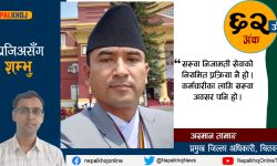 ‘निजामती सेवा मुलुकको स्थायी सरकार हो’