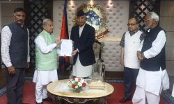 जन्मसिद्ध नागरिकता प्रदान गर्न माग गर्दै लोसपाले बुझायाे ज्ञापनपत्र