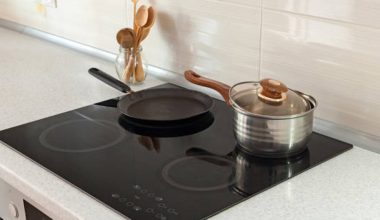 पिछडिएको वर्गलाई राहत : विद्युतीय चुलोका लागि अनलाइन फाराम खुल्यो