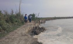 टिकापुरको नदी तटीय क्षेत्रमा कटानको जोखिम