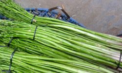 नेपालको कुरिलो विदेश निर्यात, सिधै पठाउन नपाएकोमा गुनासो