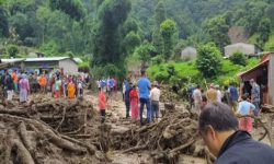 ताप्लेजुङमा आठ घर पहिराले बगायो