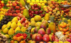 पूर्वी नाकाबाट ४६ करोडको फलफूल आयात