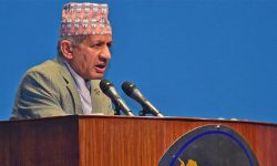 ज्ञवालीले भने- नागरिकता विधेयक टाउको गिन्ति गर्ने विषय होइन