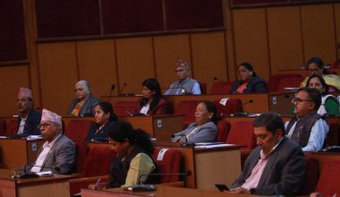 संघीयता कार्यान्वयनसम्बन्धी संसदीय समिति गठन