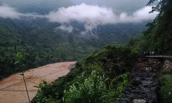 सडक भासिएको स्थानमा दुई पुरुषको शव भेटियो