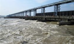 सप्तकोसीमा पानीको बहाव बढ्यो