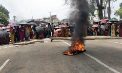 बाघको आक्रमणबाट बचाउन माग गर्दै बर्दियाको मधुवनवासी आन्दोलित
