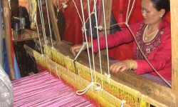 कपडा बुन्दै महिला !