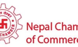 आर्थिक विधेयक अघि बढाउन सभामुखलाई चेम्बरको आग्रह