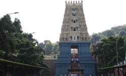 वराह लक्ष्मी नरसिंह स्वामीको मन्दिर !